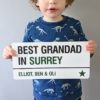 aluminium sign with personalised 'Best Grandad In' .....' to choose town, village or county - father's day gift