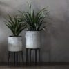 round platerns with a white textured planter which sits on a wooden stand with four legs available in small or large