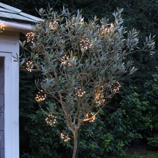 outdoor lights in black or silver made up of warm white LED starburst clusters available in battery or mains operated