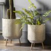 set of two white metal planters with a decorative gold design and gold legs
