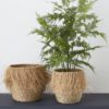 set of two round nesting seagrass baskets with boho fringing