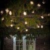 classic shaped black festoon lights available in two lengths of 10 and 20 bulbs