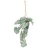 faux varigated caladium training plant with pale green and cream large heart shaped leaves